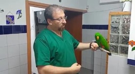 דר בן זקן פביאן