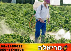 אביעד מריאלה הדברה