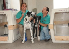 בדיקות אחרונות לפני הטיסה...