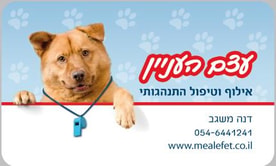 עצם העניין- אילוף כלבים