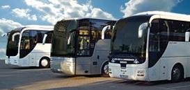 צי הרכבים של הרי ירושלים הסעות -שירותי אוטובוסים ירושלים