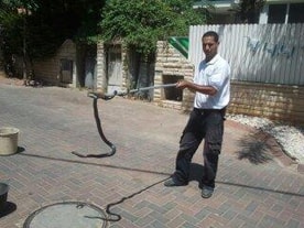לכידת נחשים