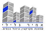 אמיר גלילי- שמאות מקרקעין