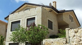 עמירם דוד