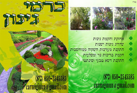 כרמי גינון