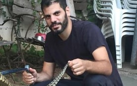 ארבל לוי