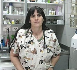 גיחון לוין דר גלית