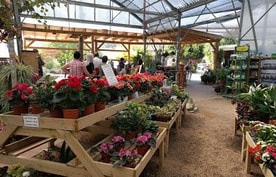 שתילי הר בע"מ