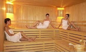 סאונה פינית יבשה
