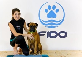 פידו – המרכז להידרותרפיה ובריאות הכלב