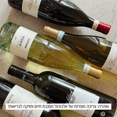 יין בעיר