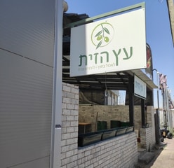 עץ הזית