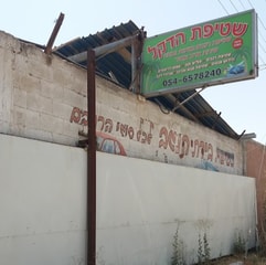 שטיפת הדקל