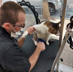 AnimaLove