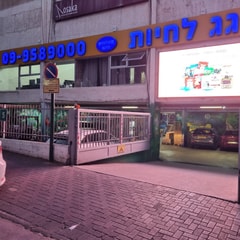 גג לחיות