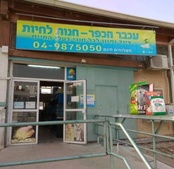 עכבר הכפר