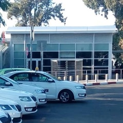 מונית שלמה המלך