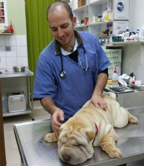 ד"ר צדוק שיפרוט