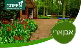 אליקים בן ארי