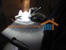 יועץ עורפית עורך סקר ליקויים