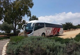 מטיילי סעסעאני בעמ