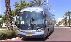 שאשא טורס