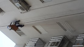 הרחקת יונים - רשת ליונים בסנפלינג