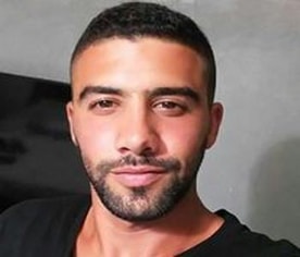 אלום ארז
