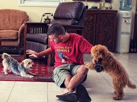 alandogs