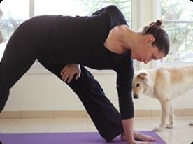 מיכל דולב - רפואה משלימה לנשים