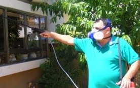 פרפר הדברות