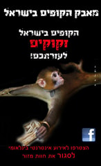 רול-אפ