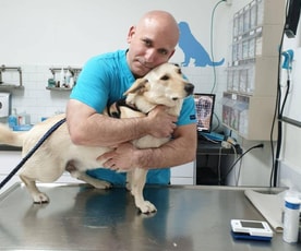 ד"ר אורי פרייז