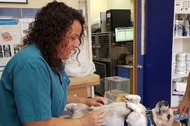 וטרינר בשבילך