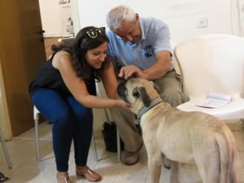 ד”ר סיון שני -‏ מרפאה וטרינרית