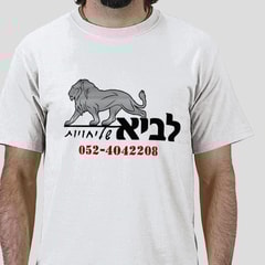 ב.מ לביא שליחויות