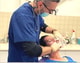 מדיקליניק - מרכז לרפואת שיניים רב תחומית