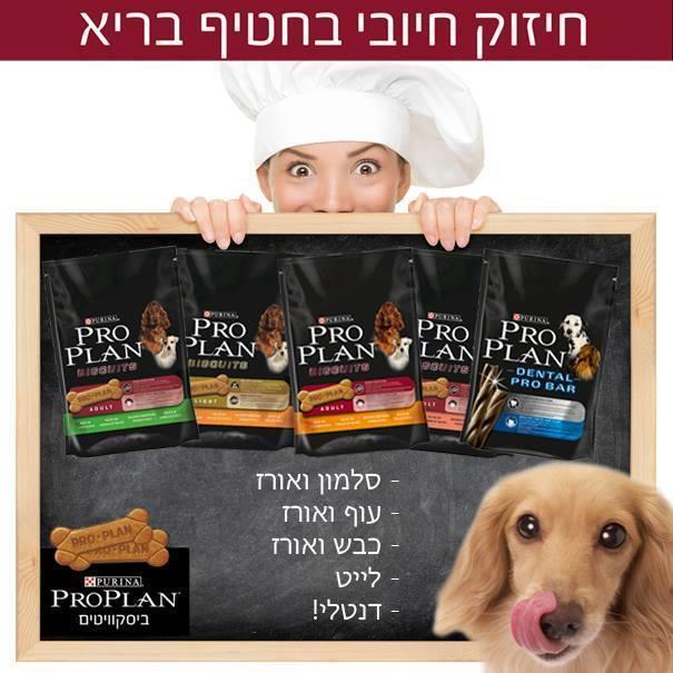 זולנד   