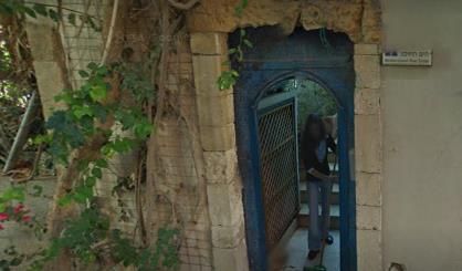 נדלן הים התיכון   