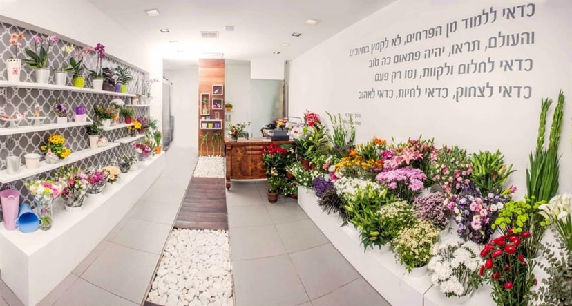 פרחי הפינה הירוקה   