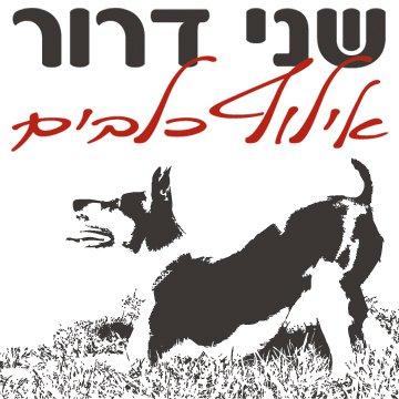 שני דרור- אילוף כלבים   