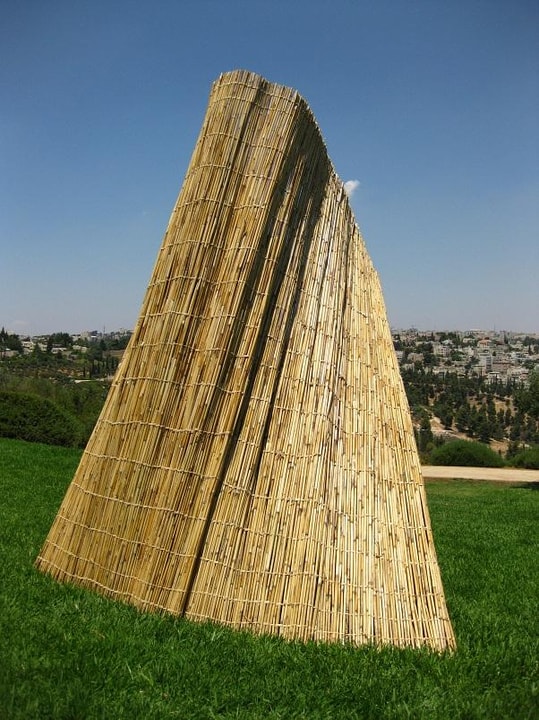 סוכות הדר   