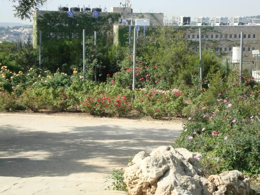 הבית והנוף - אמנות בתכנון הגן   