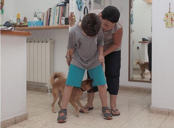 2 על 4 מרכז לכלבנות טיפולית   