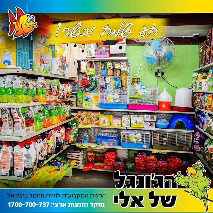 הג'ונגל של אלי   
