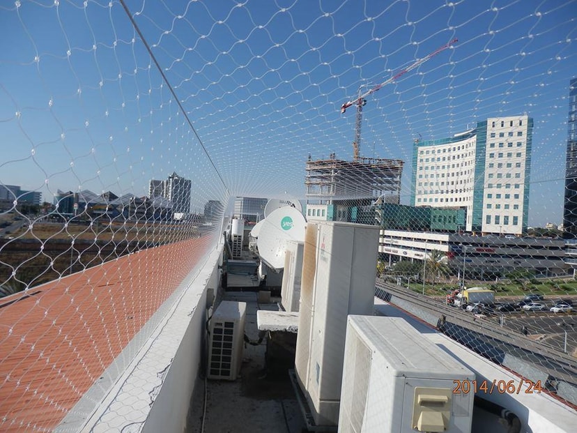 טוהר ברקת הרחקת יונים   