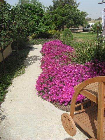 סיגלית ליברמן - אדריכלות נוף והקמת גינות אקולוגיות   