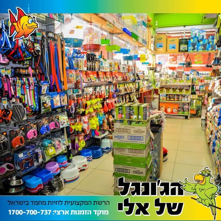 הג'ונגל של אלי   