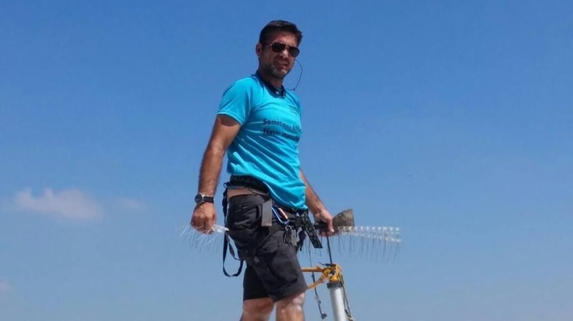 טוהר ברקת הרחקת יונים   