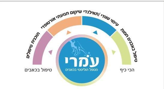 עמרי - מטפל הוליסטי בכאבים ממגוון הטיפולים שאני נותן.,שיטת פאשיקום,טיפול בנגינה ב"דיג'ירו" בפסטיבל ה"דיג'ירו"  2012  